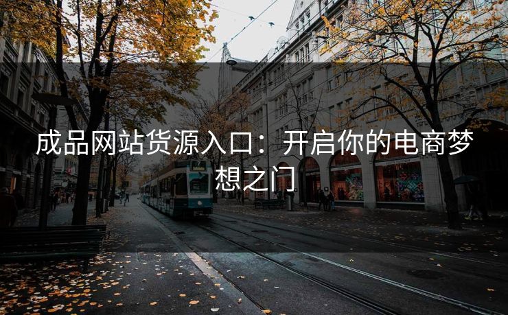 成品网站货源入口：开启你的电商梦想之门