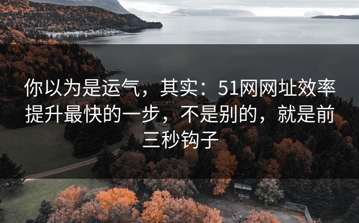 你以为是运气，其实：51网网址效率提升最快的一步，不是别的，就是前三秒钩子